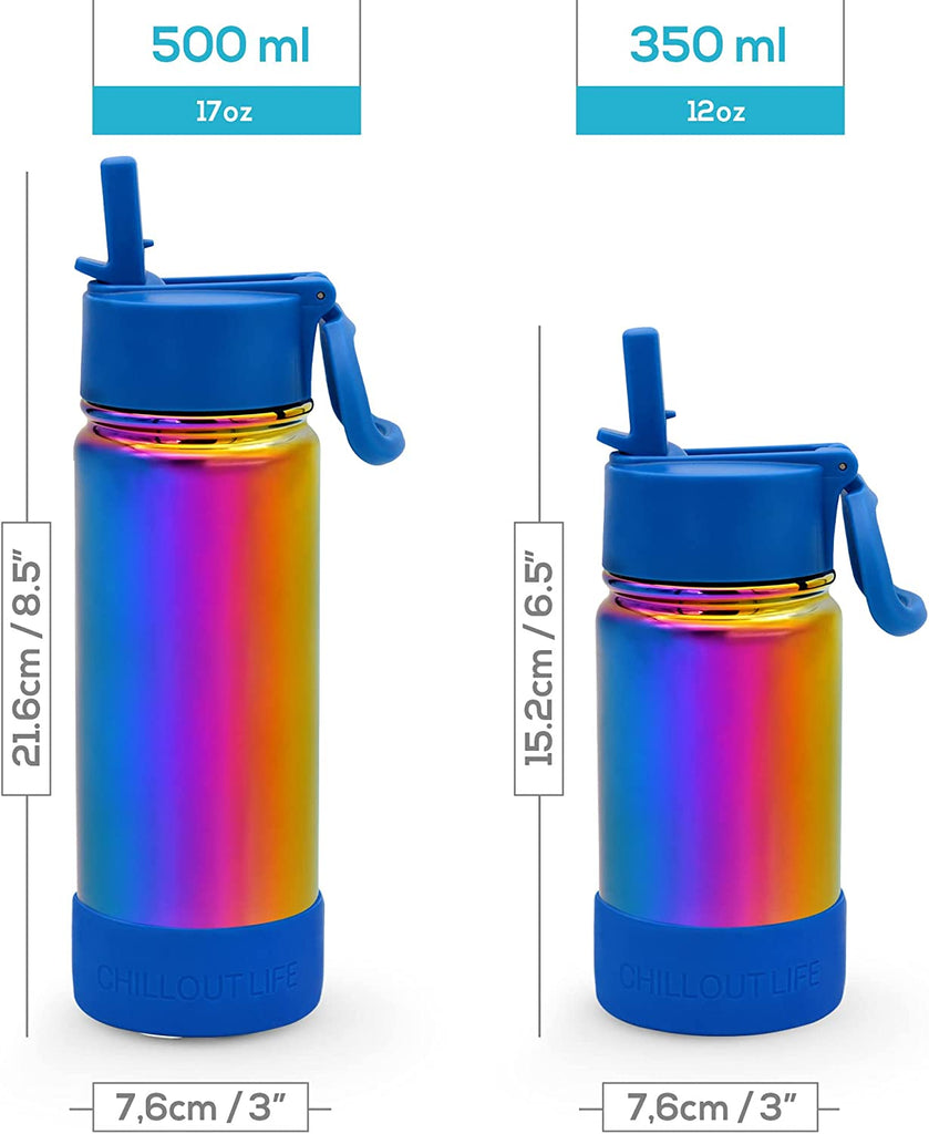 CHILLOUT LIFE 17 oz Insulated Water Bottle with Straw Lid for Kids and