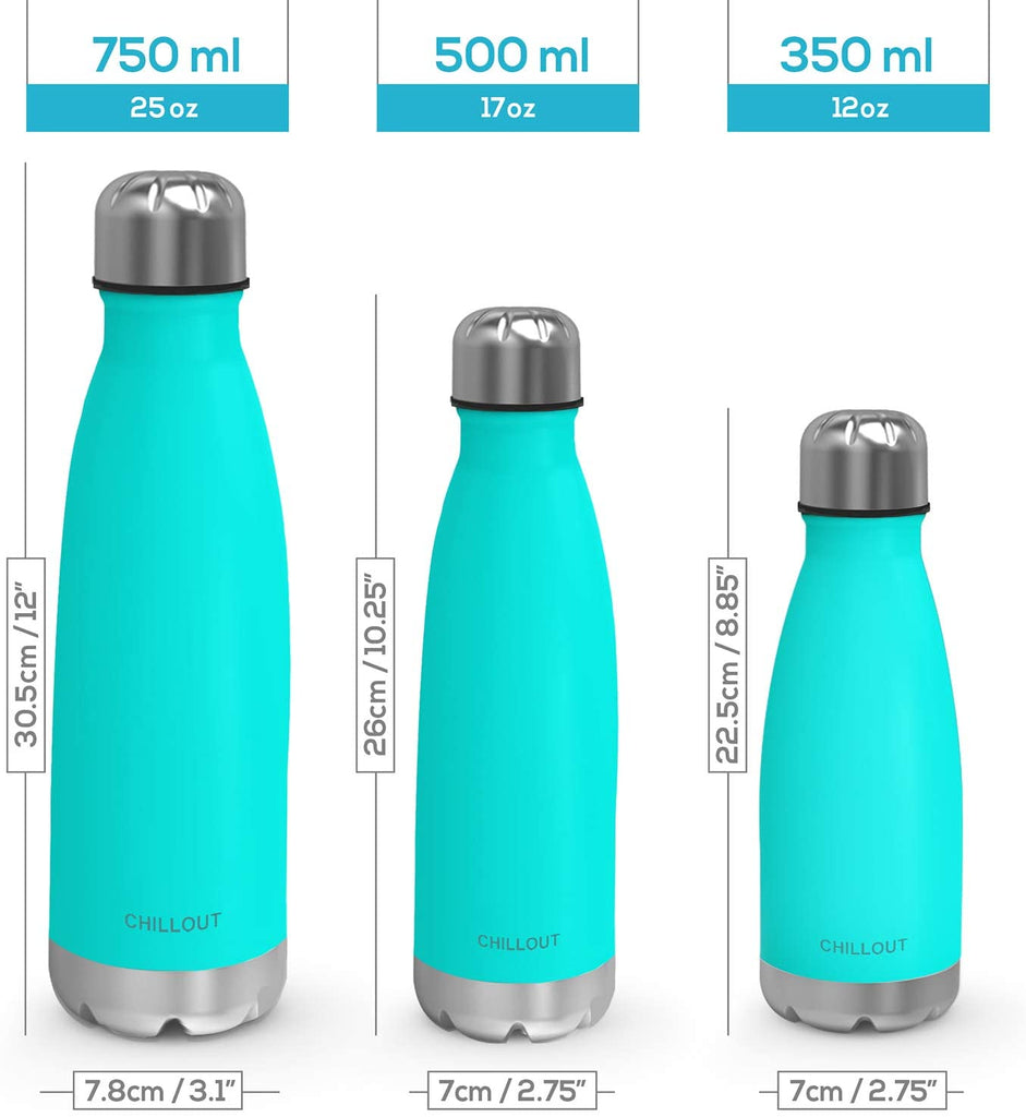 CHILLOUT LIFE 2 Pack Stainless Steel Water Bottle for Kids School: 12 oz  Double Wall Insulated Cola Bottle Shape