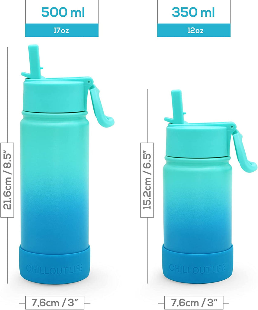 17 oz steel water bottles with straws CHILLOUT LIFE 17 oz Insulated Water Bottle with Straw Lid for Kids and